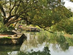 -西溪国家湿地公园