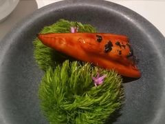-觀芷隐轩