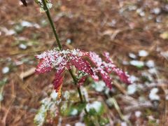 -帽儿山国家森林公园