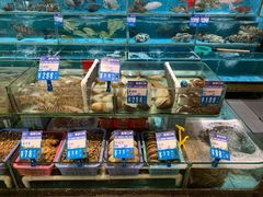 水产区-强记海鲜·大排档(蛇口新街店)