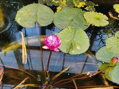 -国家植物园南园