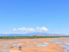 -秦皇岛野生动物园