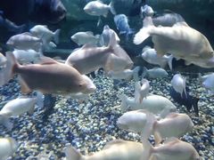 -成都浩海立方海洋公园