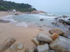 -广东惠东海龟国家级自然保护区