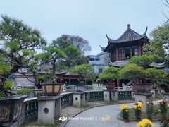 -碧江金楼