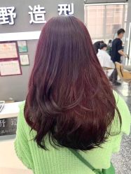 -藤野造型烫发染发