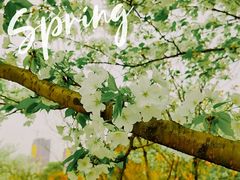 -重庆中央公园(渝北区)