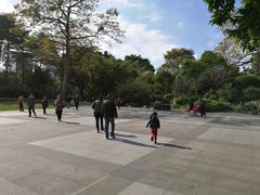-晓港公园