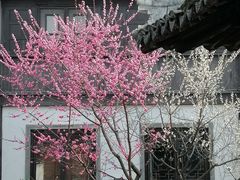 -东山雕花楼