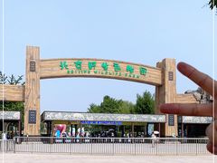 -北京野生动物园