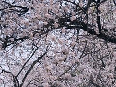 -吉林大学(南岭校区)