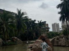 -亚马逊丛林水乐园