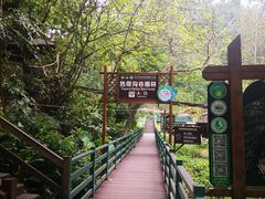 -西双版纳原始森林公园