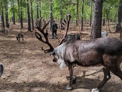 -北极村旅游风景区