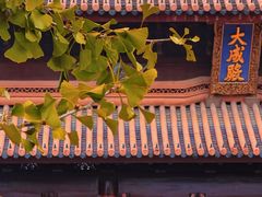 -苏州文庙(姑苏区)