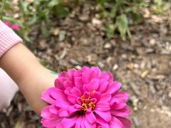 -祥源·阜阳生态乐园