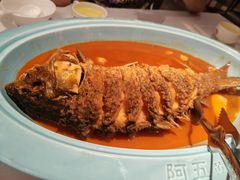 -阿五黄河大鲤鱼(英协路店)