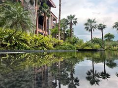 -广州从化都喜泰丽度假温泉酒店