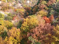 -沂蒙山旅游区云蒙景区(蒙山国家森林公园)
