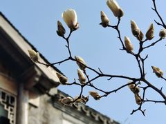 -老门东历史文化街区
