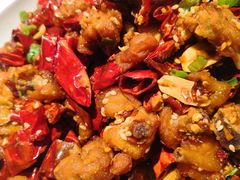 歌乐山辣子鸡-蜀国演义(黄寺大街店)