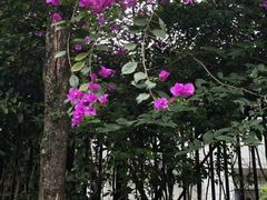 -沐仙湖湿地公园
