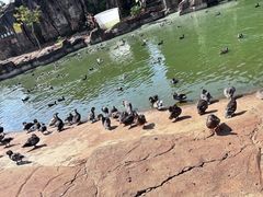 -海南热带野生动植物园