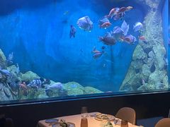 -渔火·特色餐厅(佘山世茂洲际酒店)