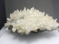 -湖南省地质博物馆