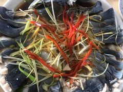 -煲来饱去冷水鱼