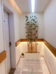 -颜和骨正·明哲式骨相美学整骨
