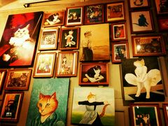 -猫咪博物馆(顶澳仔猫街店)