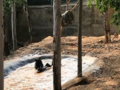 -泉州海丝野生动物世界