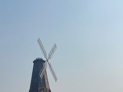 -大塘金香草谷