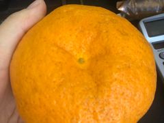 -秋林公司(北大街店)