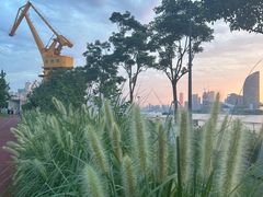 -北外滩滨江绿地