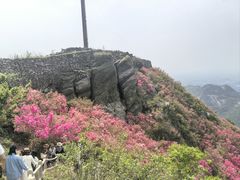 -木兰云雾山