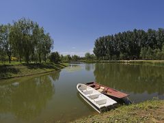 -东郊湿地公园