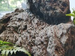 -苏淮景·苏闽融创菜·海鲜(原空港井河轩店)
