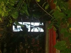 -斯多格书乡(北京大学畅春园店)