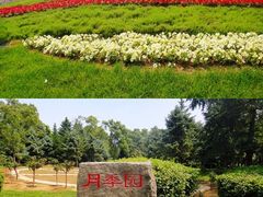 -沈阳植物园