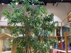 -屋虎猫馆(宝安大仟里店)