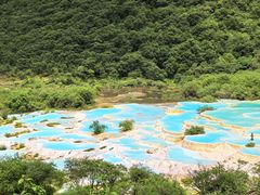 -黄龙山原始森林景区