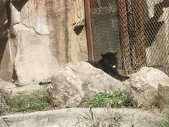 -沈阳森林动物园