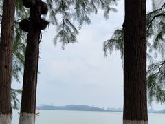 -东湖听涛景区