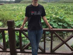 -荷塘月色湿地公园·向阳花洲