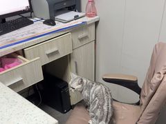 -半岛宠物医院24小时(科华中路店)