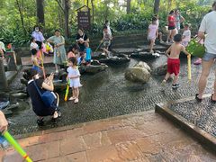 -成都市活水公园