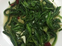 -清真·伊清阁餐厅