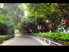 景点-厦门博饼民俗园